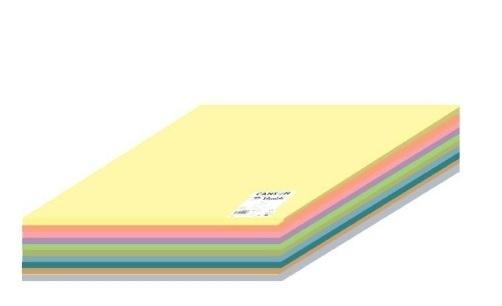 CARTULINA 50X65 IRIS 12 COLORES PASTEL SURTIDO (PACK 120 UDS) REF. C612712004